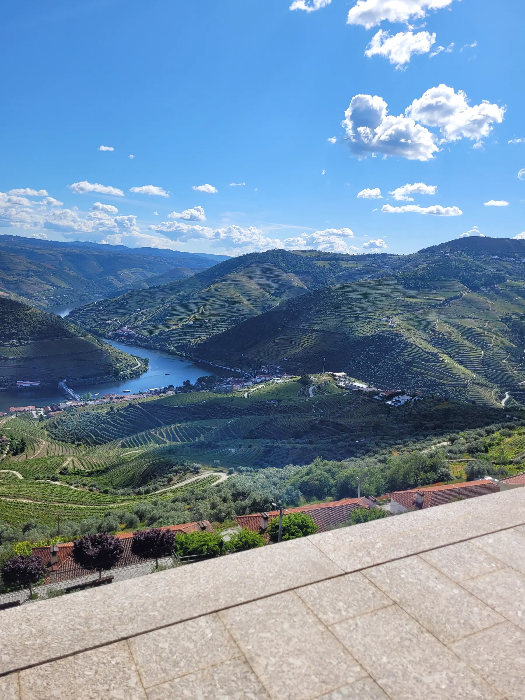 Panoramic view of vineyards and the Douro Valley in Portugal