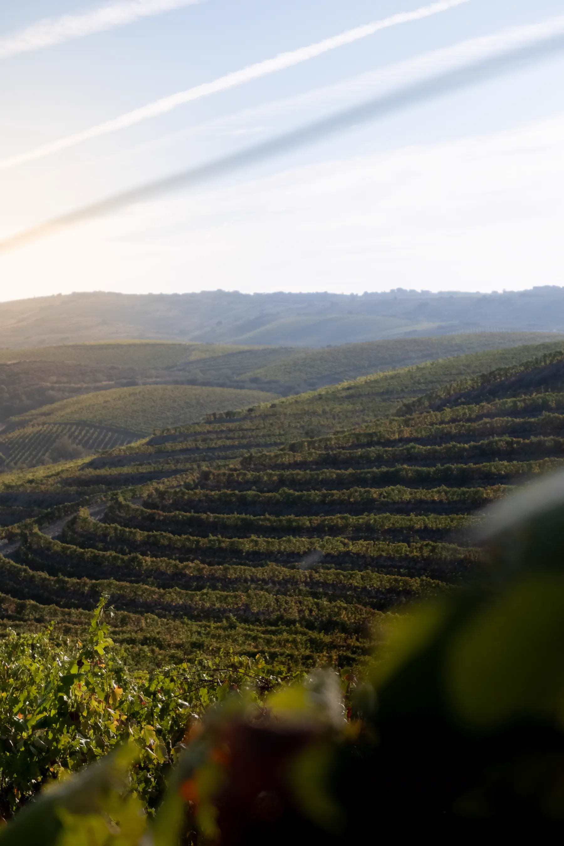 Douro Valley From Porto: Train, Car, Group Tour or Private Driver? — douro valley, Portugal